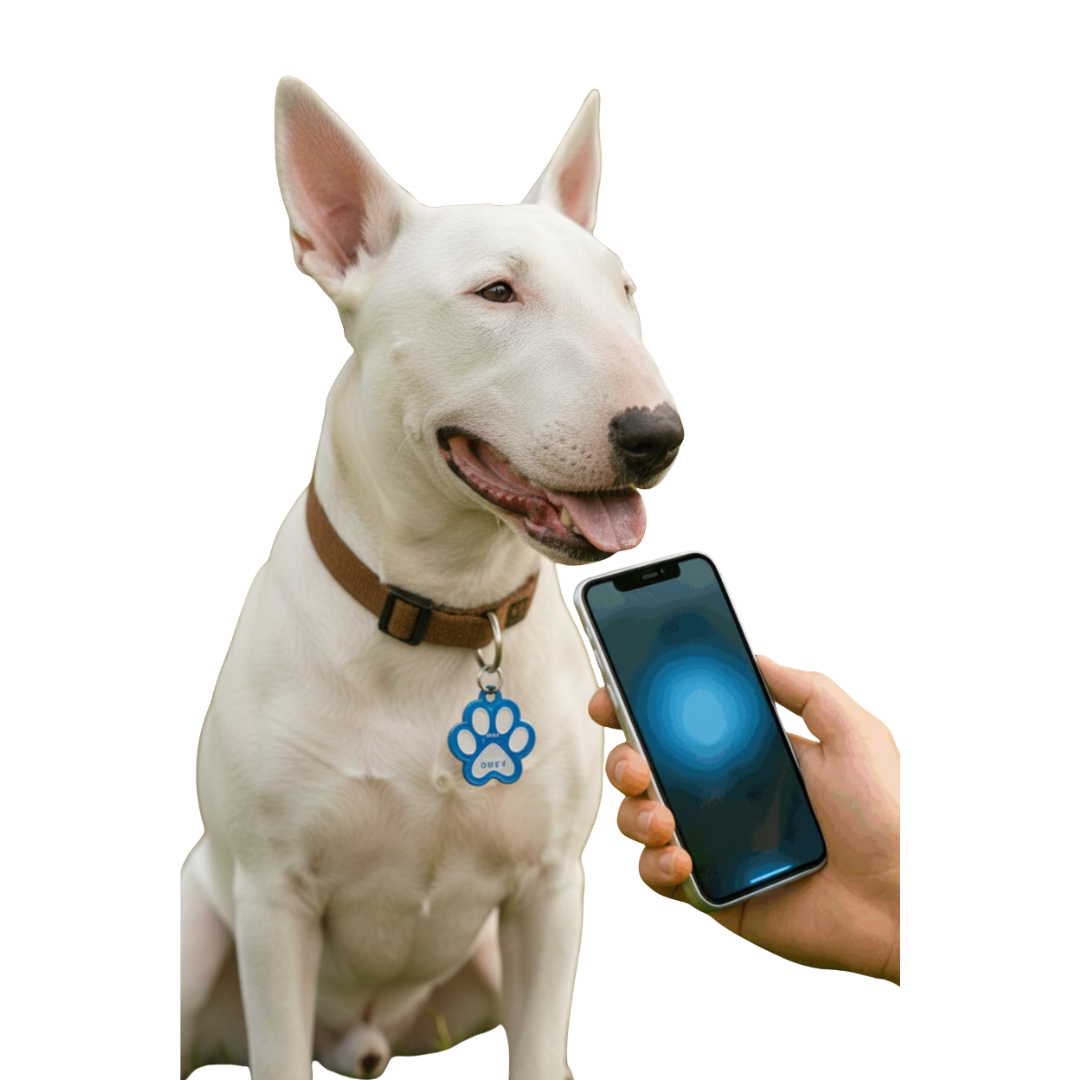 Placa identificación inteligente NFC Brandtag pro para Mascotas x 2 un.